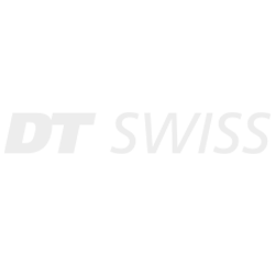 DT SWISS